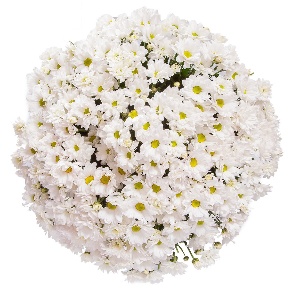 Букет «Песнь ночи»